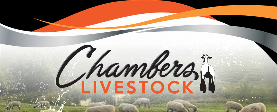 Chambers Livestock